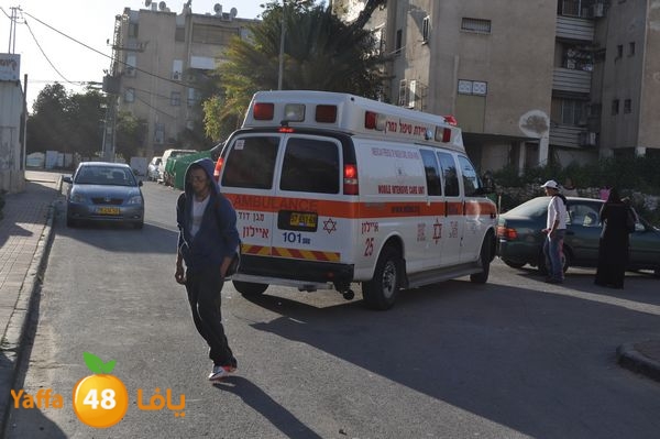 snakeluds310 (10).JPG